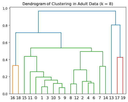 Adult Clustering Dendrogram