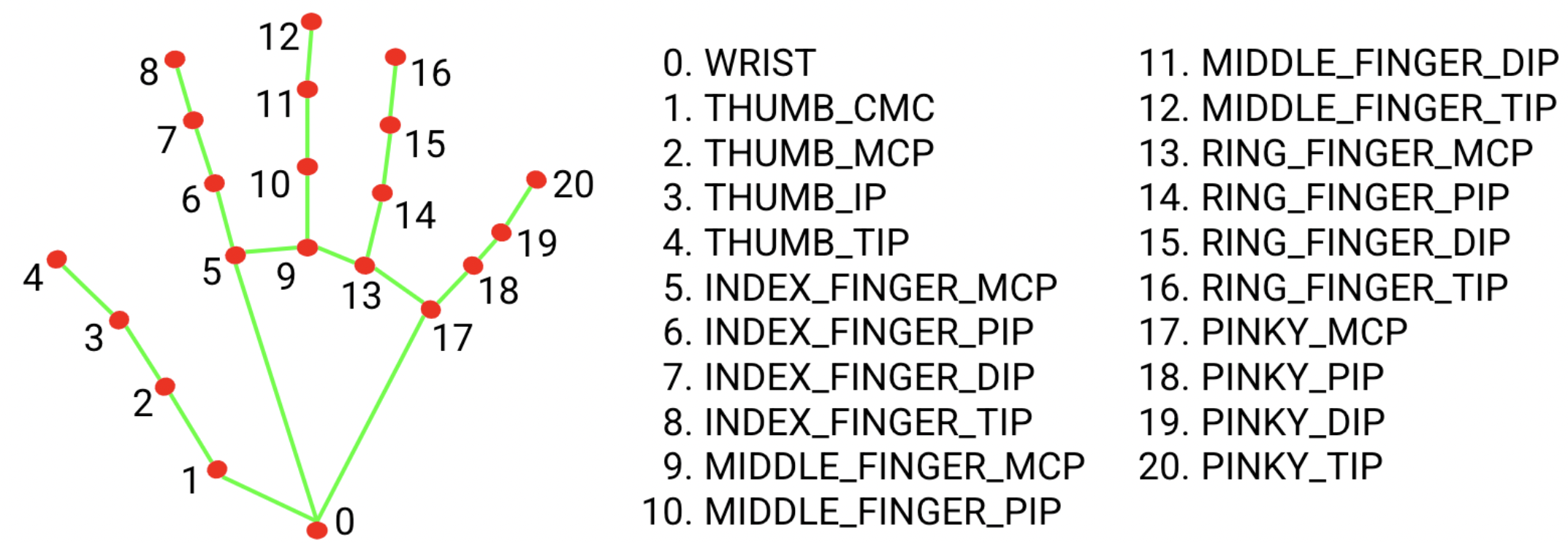 Hand Landmarks Detection